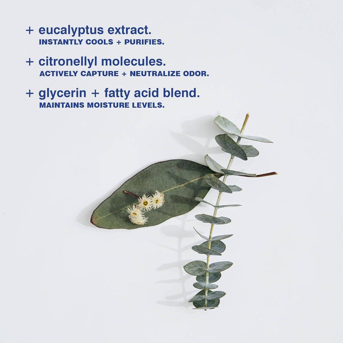 Malin Goetz Eucalyptus Deodorant Mini